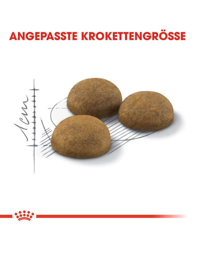 ROYAL CANIN INDOOR Longhair Trockenfutter für Wohnungskatzen mit langem Fell 2 kg