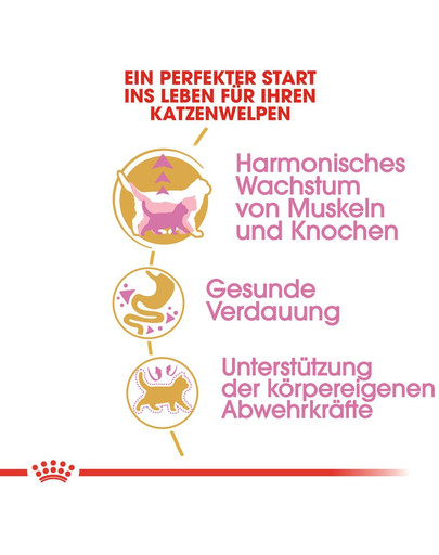 ROYAL CANIN British Shorthair Kittenfutter trocken für BKH Kätzchen 400 g