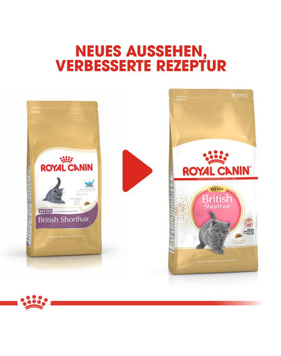 ROYAL CANIN British Shorthair Kittenfutter trocken für BKH Kätzchen 400 g