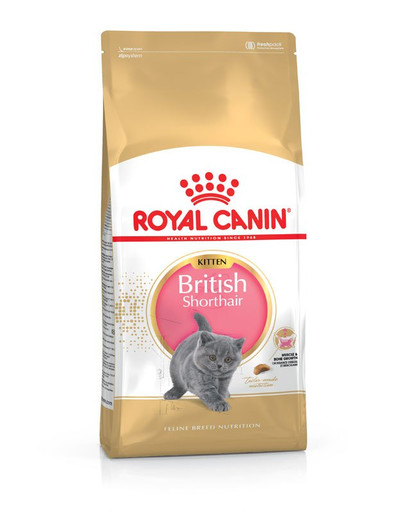 ROYAL CANIN British Shorthair Kittenfutter trocken für BKH Kätzchen 400 g