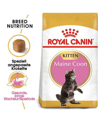 ROYAL CANIN Maine Coon Kittenfutter trocken für Kätzchen 10 kg