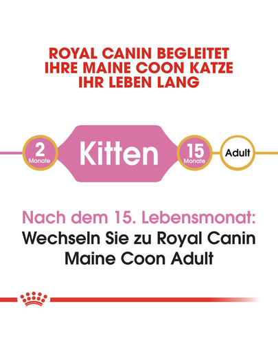 ROYAL CANIN Maine Coon Kittenfutter trocken für Kätzchen 4 kg