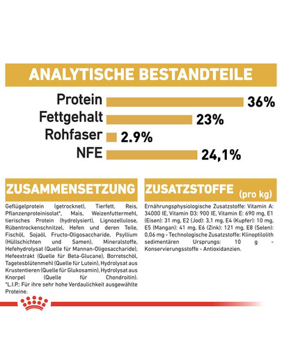 ROYAL CANIN Maine Coon Kittenfutter trocken für Kätzchen 4 kg