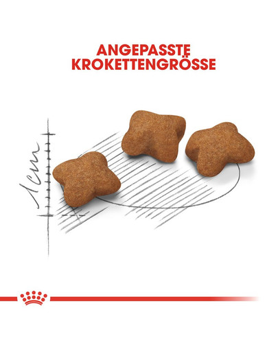 ROYAL CANIN KITTEN Sterilised Kittenfutter für kastrierte Kätzchen 2 kg