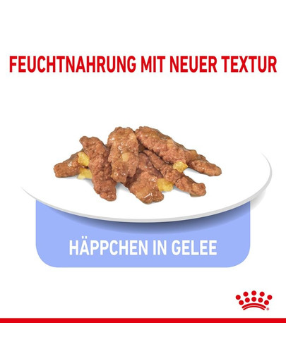 ROYAL CANIN INDOOR Sterilised in Gelee Nassfutter für Wohnungskatzen 12 x 85 g