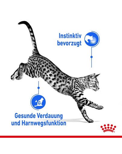 ROYAL CANIN INDOOR Sterilised in Gelee Nassfutter für Wohnungskatzen 12 x 85 g