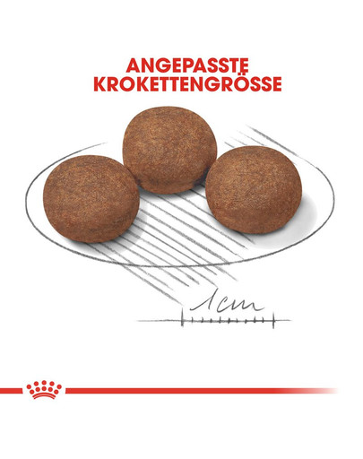 ROYAL CANIN MEDIUM Puppy Welpenfutter trocken für mittelgroße Hunde 15 kg