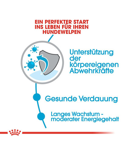 ROYAL CANIN MAXI Puppy Welpenfutter trocken für große Hunde 4 kg