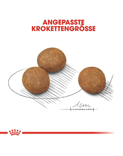 ROYAL CANIN MAXI Puppy Welpenfutter trocken für große Hunde 4 kg