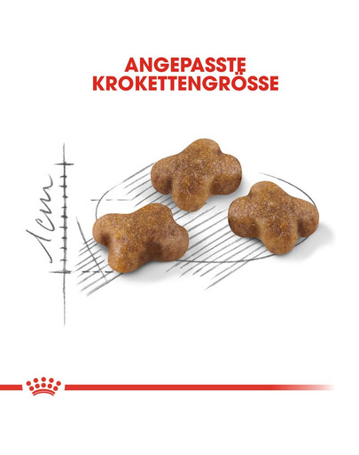 ROYAL CANIN KITTEN Trockenfutter für Kätzchen 400 g