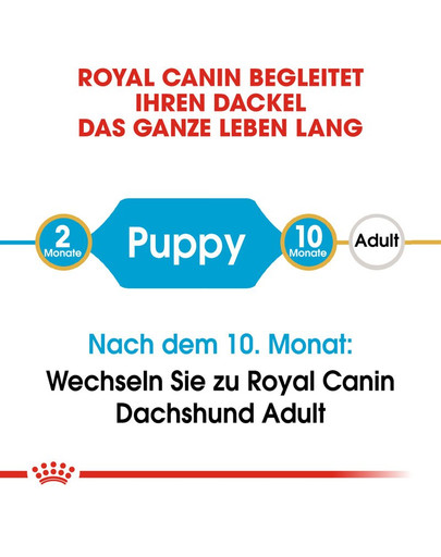 ROYAL CANIN Dachshund Puppy Welpenfutter trocken für Dackel 1,5 kg