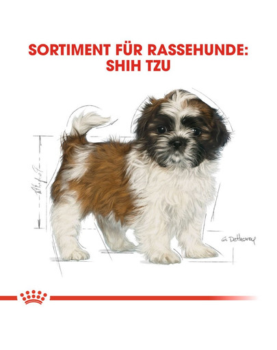 ROYAL CANIN Shih Tzu Puppy Welpenfutter trocken 1,5 kg