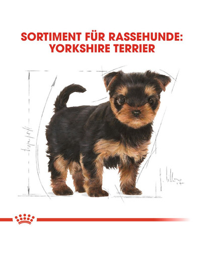 ROYAL CANIN Yorkshire Terrier Puppy Welpenfutter trocken 1,5 kg