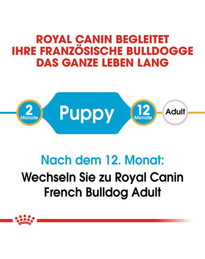 ROYAL CANIN French Bulldog Puppy Welpenfutter trocken für Französische Bulldoggen 10 kg