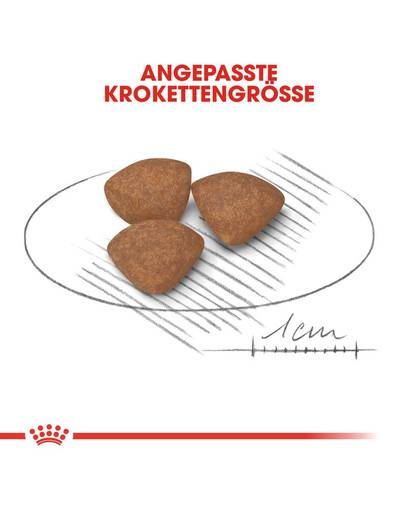 ROYAL CANIN MINI Puppy Welpenfutter trocken für kleine Hunde 8 kg