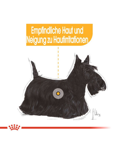 ROYAL CANIN DERMACOMFORT MINI Trockenfutter für kleine Hunde mit empfindlicher Haut 1 kg