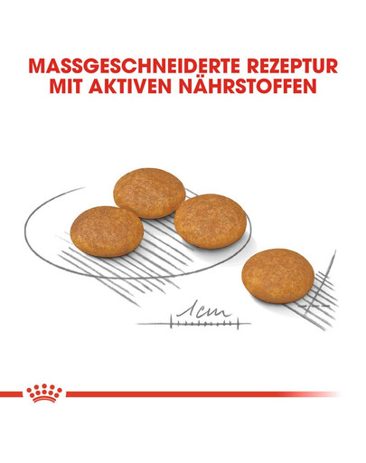ROYAL CANIN DERMACOMFORT MINI Trockenfutter für kleine Hunde mit empfindlicher Haut 3 kg
