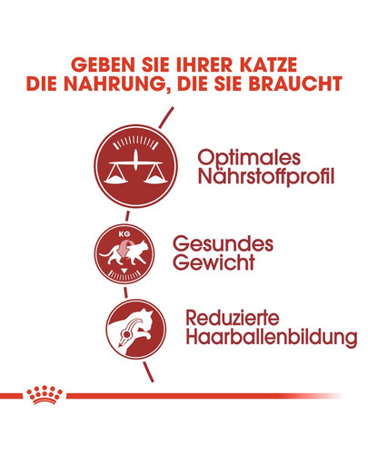 ROYAL CANIN FIT Trockenfutter für aktive Katzen 10 kg
