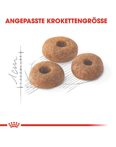 ROYAL CANIN FIT Trockenfutter für aktive Katzen 2 kg
