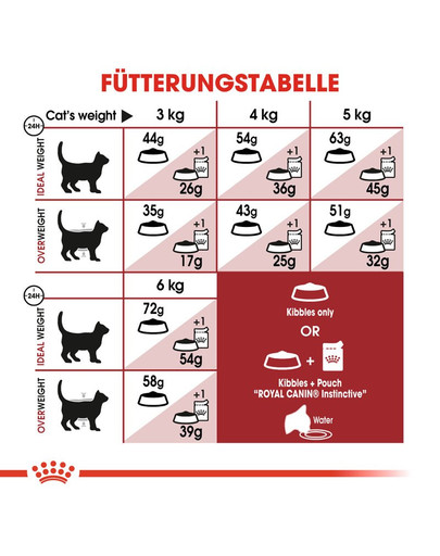 ROYAL CANIN FIT Trockenfutter für aktive Katzen 2 kg