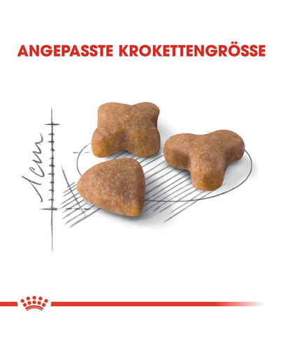 ROYAL CANIN SENSIBLE Trockenfutter für sensible Katzen 2 kg