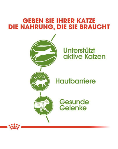 ROYAL CANIN OUTDOOR Katzenfutter trocken für Freigänger 2 kg