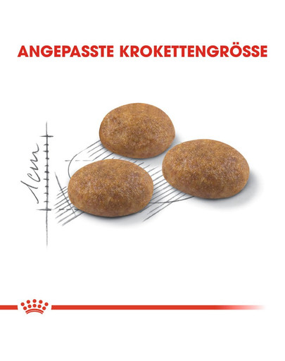 ROYAL CANIN OUTDOOR Katzenfutter trocken für Freigänger 400 g