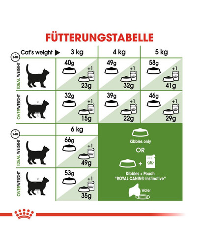 ROYAL CANIN OUTDOOR Katzenfutter trocken für Freigänger 400 g