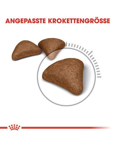 ROYAL CANIN Hairball Care Katzenfutter trocken gegen Haarballen 4 kg