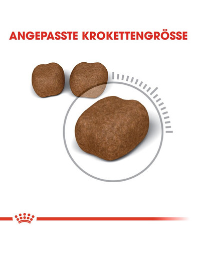ROYAL CANIN Oral Care Katzenfutter trocken für gesunde Zähne 8 kg