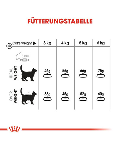 ROYAL CANIN Oral Care Katzenfutter trocken für gesunde Zähne 3,5 kg