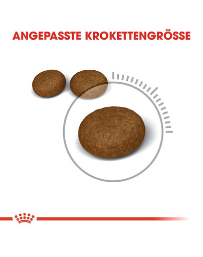 ROYAL CANIN Hair & Skin Care Katzenfutter trocken für gesundes Fell 4 kg