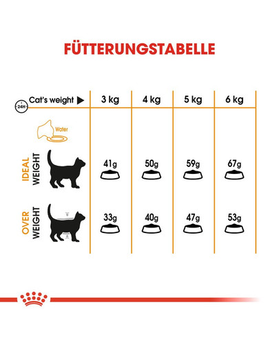 ROYAL CANIN Hair & Skin Care Katzenfutter trocken für gesundes Fell 4 kg