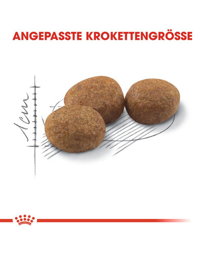 ROYAL CANIN STERILISED 37 Trockenfutter für kastrierte Katzen 400 g