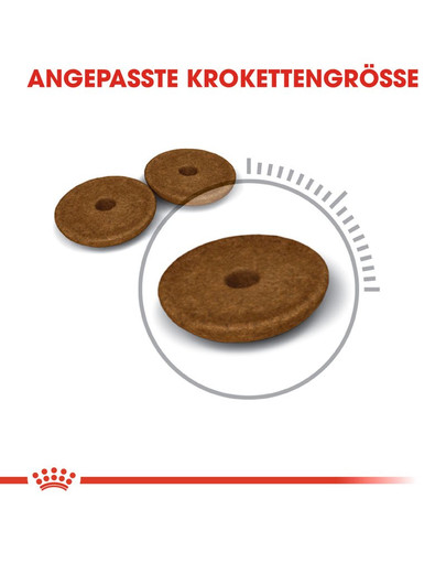 ROYAL CANIN Digestive Care Trockenfutter für Katzen mit empfindlicher Verdauung 10 kg