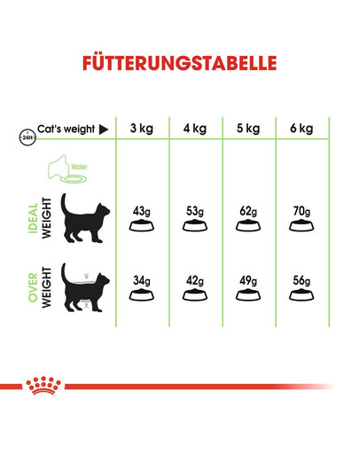 ROYAL CANIN Digestive Care Trockenfutter für Katzen mit empfindlicher Verdauung 10 kg