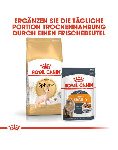 ROYAL CANIN Sphynx Adult Katzenfutter trocken 2 kg