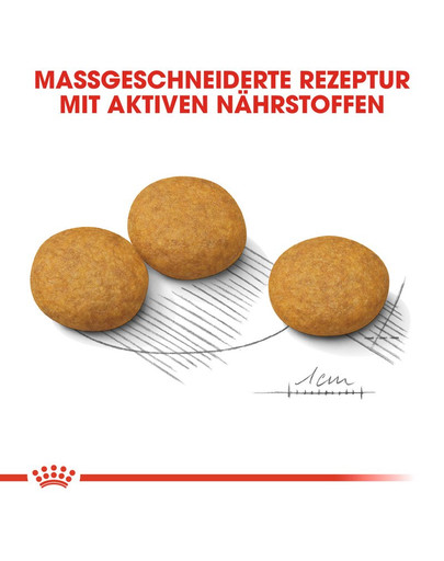 ROYAL CANIN MEDIUM Dermacomfort Trockenfutter für mittelgroße Hunde mit empfindlicher Haut 3 kg