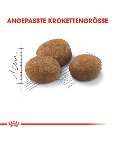 ROYAL CANIN STERILISED 7+ Trockenfutter für ältere kastrierte Katzen 10 kg
