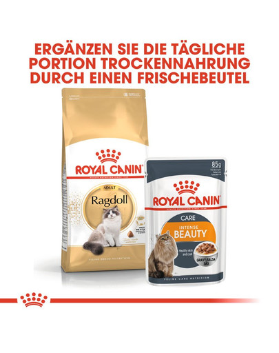 ROYAL CANIN Ragdoll Adult Katzenfutter trocken 2 kg
