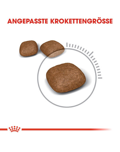 ROYAL CANIN Urinary Care Katzenfutter trocken für gesunde Harnwege 10 kg