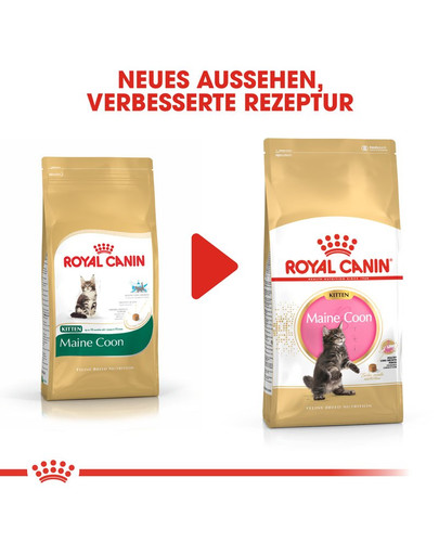 ROYAL CANIN Maine Coon Kittenfutter trocken für Kätzchen 2 kg