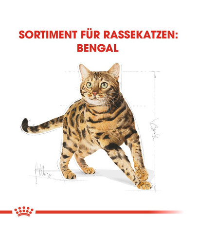 ROYAL CANIN Bengal Adult Katzenfutter trocken 10 kg