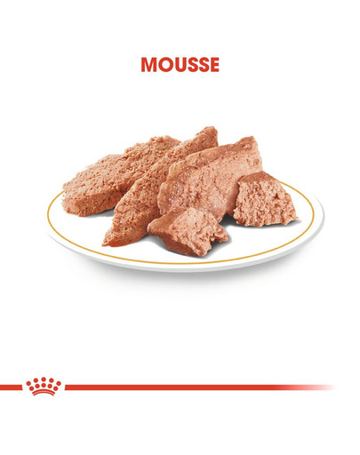 ROYAL CANIN Yorkshire Terrier Adult Hundefutter nass Mousse 12 x 85 g