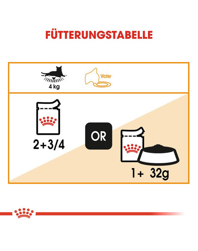 ROYAL CANIN Intense Beauty Katzenfutter nass in Gelee für schönes Fell 12 x 85 g
