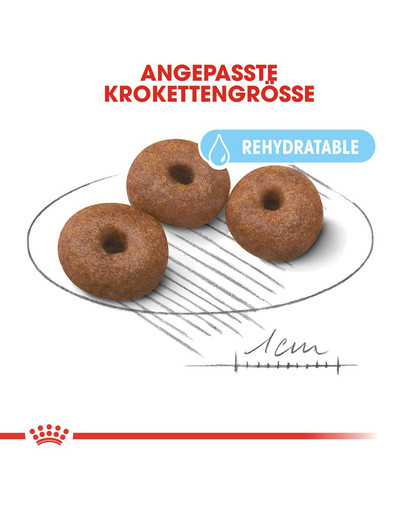 ROYAL CANIN GIANT Starter für tragende Hündin und Welpen 15 kg