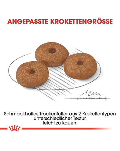 ROYAL CANIN MINI Ageing 12+ Trockenfutter für ausgewachsene Hunde, kleine Rassen 800 g