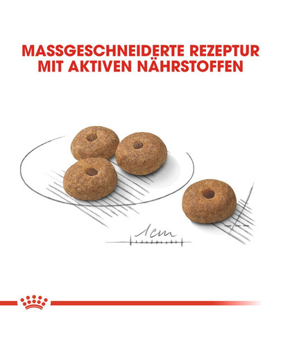 ROYAL CANIN STERILISED MINI Trockenfutter für kastrierte kleine Hunde 8 kg
