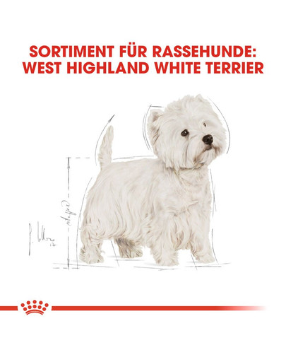 ROYAL CANIN West Highland White Terrier Adult Hundefutter trocken 1,5 kg