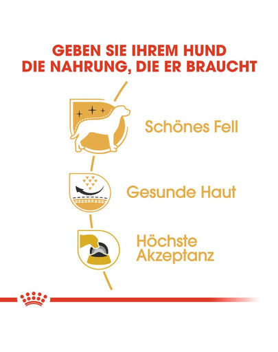 ROYAL CANIN West Highland White Terrier Adult Hundefutter trocken 3 kg